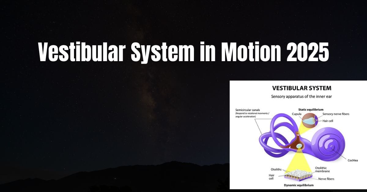 Vestibular System in Motion 2025