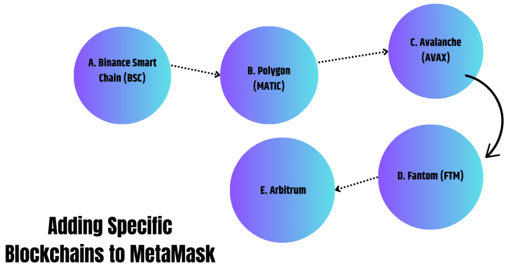 Adding Specific Blockchains to MetaMask