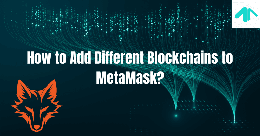 How to Add Different Blockchains to MetaMask?