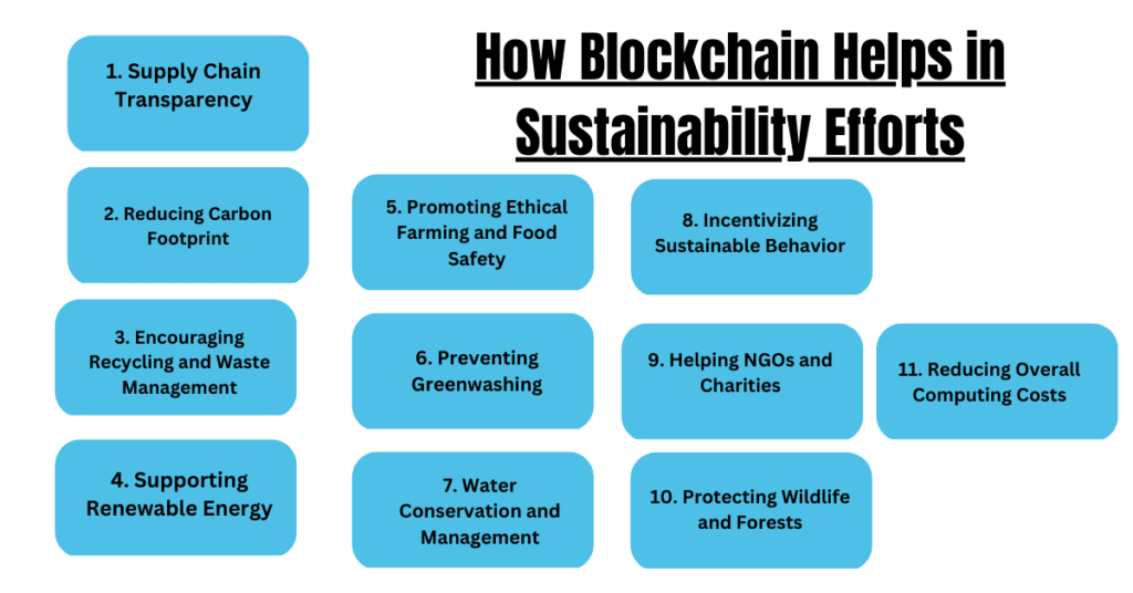 How Blockchain Helps in Sustainability Efforts