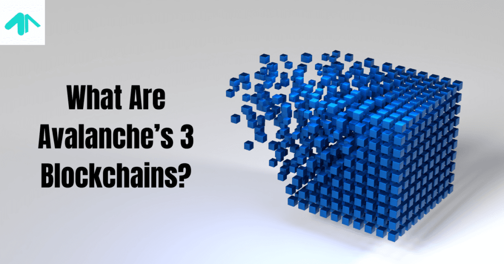 What Are Avalanches 3 Blockchains?